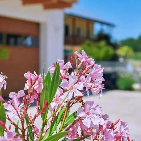 Apartment Zwischen Salzburg Und Burghausen *